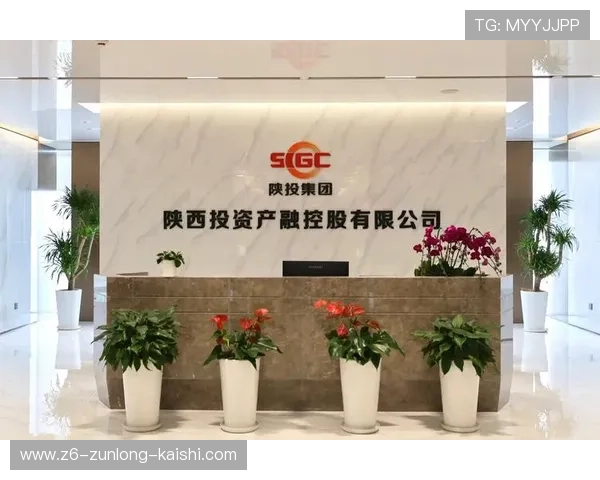 尊龙z6.com电游官网介绍多样化的支付方式与快速提款服务保障