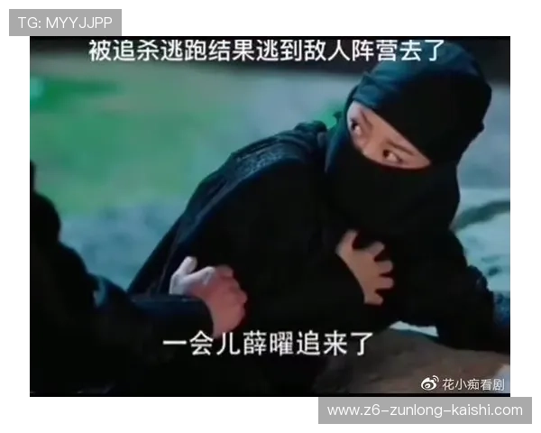 尊龙集团官网怎么进入遇到无法登录问题的解决方法详解