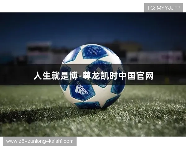 深入了解凯时尊龙的企业文化与价值观